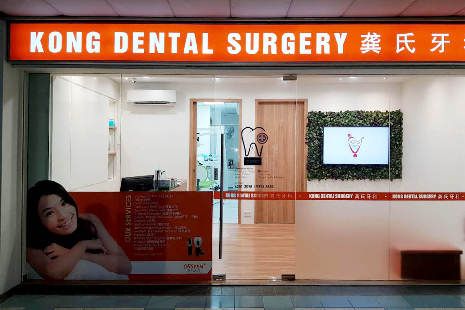 Kong shop dental sunshine