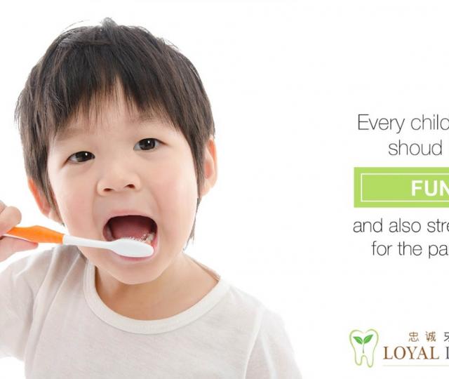 Loyal Dental Pte Ltd located at Kallang, Central Region Loyal Dental Pte Ltd located at Kallang, Central Region