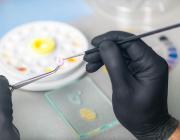 dental technician making a dental crown dental technician making a dental crown